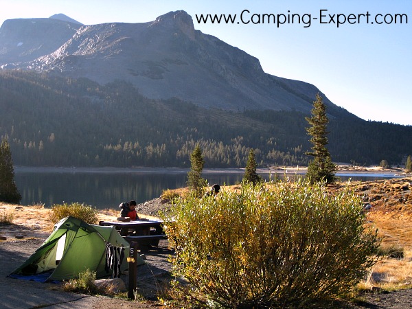 camping outside of Yosemite National Park