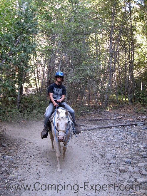 horseback riding in Yosemite