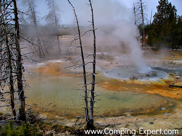 pictures of yellowstone