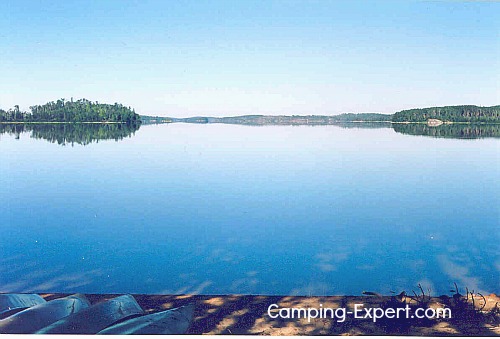 Calm Pickeral Lake view from the pines